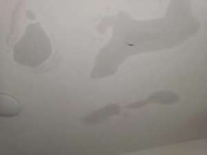 屋頂漏水zui實用的解決辦法！